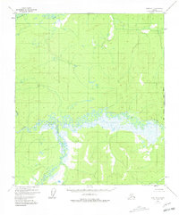 Ruby B-1 1952 topographic map thumbnail