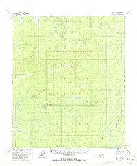 Ruby D-1 1952 topographic map preview