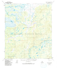 Ruby D-2 1952 topographic map thumbnail