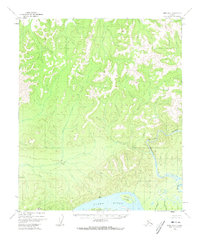 Ruby D-6 1952 topographic map thumbnail