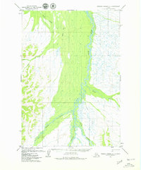 Russian Mission A-1 1979 topographic map thumbnail