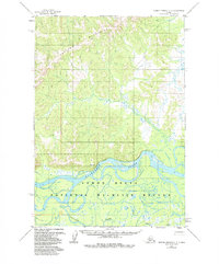 Russian Mission C-3 topographic map thumbnail