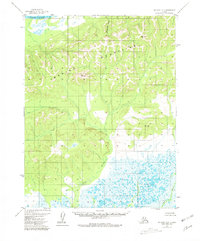 Selawik D-2 1955 topographic map thumbnail