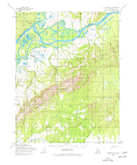 Selawik D-3 1955 topographic map thumbnail