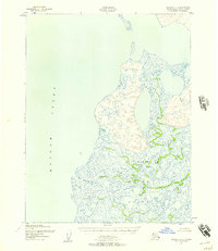 Selawik D-6 1951 topographic map thumbnail
