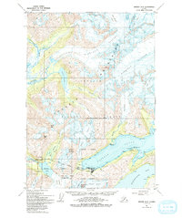 Seward D-5 1951 topographic map preview