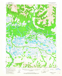 Shungnak D-2 1955 topographic map thumbnail