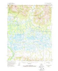 Shungnak D-2 1955 topographic map thumbnail