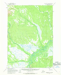 Sleetmute A-5 1954 topographic map thumbnail