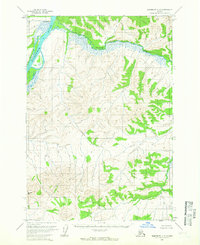 Sleetmute C-6 1954 topographic map thumbnail