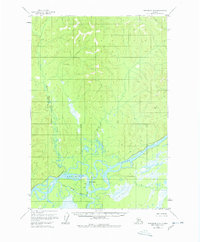 Sleetmute D-2 1954 topographic map thumbnail