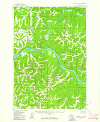 Sleetmute D-5 1954 topographic map thumbnail