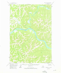 Sleetmute D-5 1954 topographic map thumbnail