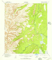 Solomon D-1 1950 topographic map thumbnail