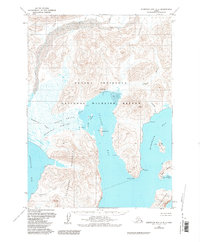 Stepovak Bay D-5 1963 topographic map thumbnail