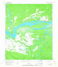 Tanana A-5 1953 topographic map thumbnail