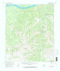 Tanana B-1 1956 topographic map thumbnail