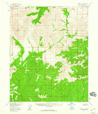 Tanana C-2 1956 topographic map thumbnail
