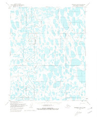 Teshekpuk B-5 1955 topographic map thumbnail