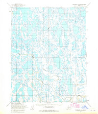 Teshekpuk C-4 1955 topographic map thumbnail