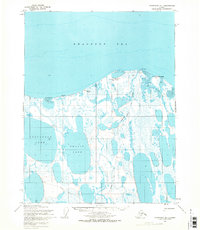 Teshekpuk D-1 topographic map thumbnail