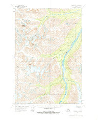 Tyonek D-8 topographic map thumbnail
