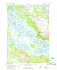 Ugashik B-4 1954 topographic map thumbnail