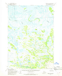 Ugashik B-5 1954 topographic map thumbnail