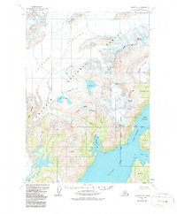 Valdez A-8 1960 topographic map thumbnail
