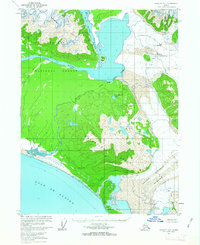 Yakutat A-1 1959 topographic map thumbnail