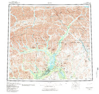 Arctic 1956 topographic map thumbnail
