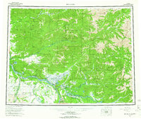 Big Delta 1958 topographic map thumbnail