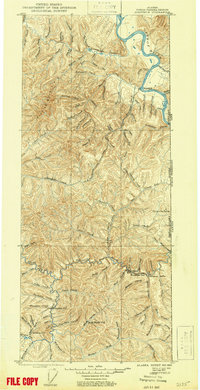 Fortymile 1899 topographic map thumbnail