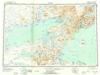 Iliamna 1952 topographic map thumbnail