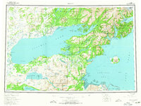 Iliamna 1957 topographic map thumbnail