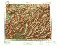 Livengood 1956 topographic map thumbnail