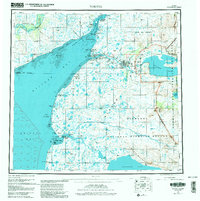 Naknek 1952 topographic map thumbnail