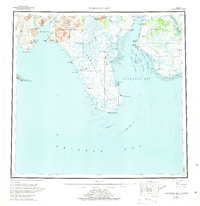 Nushagak Bay 1951 topographic map thumbnail