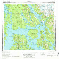 Petersburg 1960 topographic map thumbnail