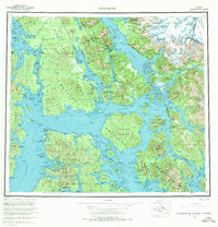 Petersburg 1960 topographic map thumbnail