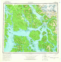 Petersburg 1960 topographic map thumbnail