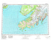 Seldovia 1963 topographic map thumbnail