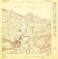 Barceloneta NE topographic map thumbnail