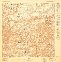 Barceloneta SO topographic map thumbnail