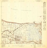 Bayamon NO topographic map thumbnail