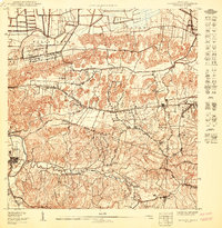 Bayamon SO topographic map thumbnail