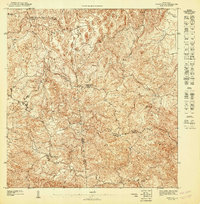 Corozal NE topographic map thumbnail