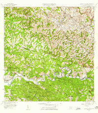 Central La Plata 1955 topographic map thumbnail