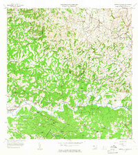 Central La Plata 1964 topographic map thumbnail