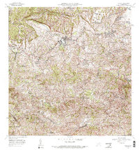 Corozal 1972 topographic map thumbnail